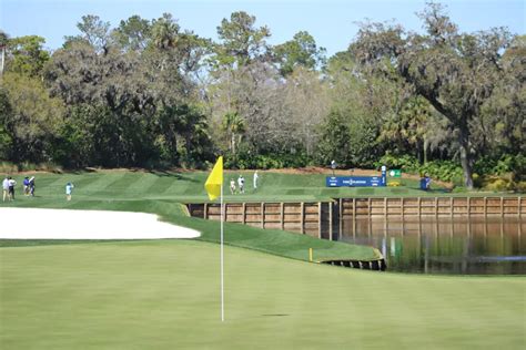 betting odds -164|PLAYERS Championship Live Odds 2025: Latest Betting Lines.